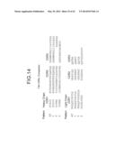 SELECTIVE BINDING AGENTS OF OSTEOPROTEGERIN BINDING PROTEIN diagram and image