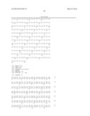 SELECTIVE BINDING AGENTS OF OSTEOPROTEGERIN BINDING PROTEIN diagram and image