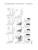 Selective Targeting of the CD40L/Mac-1 Interaction by Small Peptide     Inhibitors and its Use for the Treatment of Inflammation and     Atherogenesis diagram and image