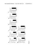 Selective Targeting of the CD40L/Mac-1 Interaction by Small Peptide     Inhibitors and its Use for the Treatment of Inflammation and     Atherogenesis diagram and image