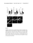 Selective Targeting of the CD40L/Mac-1 Interaction by Small Peptide     Inhibitors and its Use for the Treatment of Inflammation and     Atherogenesis diagram and image