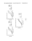 ANTI-CXCL13 ANTIBODIES AND METHODS OF USING THE SAME diagram and image