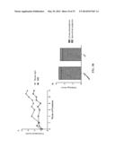 ANTI-CXCL13 ANTIBODIES AND METHODS OF USING THE SAME diagram and image