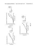 ANTI-CXCL13 ANTIBODIES AND METHODS OF USING THE SAME diagram and image