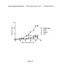 ANTI-CXCL13 ANTIBODIES AND METHODS OF USING THE SAME diagram and image