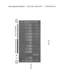 ANTI-CXCL13 ANTIBODIES AND METHODS OF USING THE SAME diagram and image