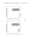 ANTI-CXCL13 ANTIBODIES AND METHODS OF USING THE SAME diagram and image