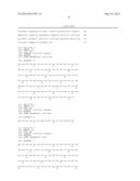 ANTI-CXCL13 ANTIBODIES AND METHODS OF USING THE SAME diagram and image