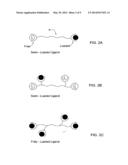 METHOD FOR REMOVAL OF TOXINS FROM MUCOSAL MEMBRANES diagram and image