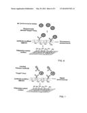 METHOD FOR REMOVAL OF TOXINS FROM MUCOSAL MEMBRANES diagram and image