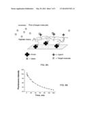 METHOD FOR REMOVAL OF TOXINS FROM MUCOSAL MEMBRANES diagram and image