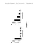 FUSION PEPTIDE COMPRISING dhFas-1 DOMAIN AND MMP SUBSTRATE AND USE THEREOF     FOR PREVENTING AND TREATING RHEUMATOID ARTHRITIS diagram and image