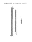 FUSION PEPTIDE COMPRISING dhFas-1 DOMAIN AND MMP SUBSTRATE AND USE THEREOF     FOR PREVENTING AND TREATING RHEUMATOID ARTHRITIS diagram and image