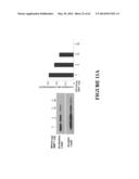 FUSION PEPTIDE COMPRISING dhFas-1 DOMAIN AND MMP SUBSTRATE AND USE THEREOF     FOR PREVENTING AND TREATING RHEUMATOID ARTHRITIS diagram and image