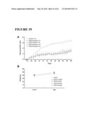 FUSION PEPTIDE COMPRISING dhFas-1 DOMAIN AND MMP SUBSTRATE AND USE THEREOF     FOR PREVENTING AND TREATING RHEUMATOID ARTHRITIS diagram and image