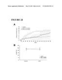 FUSION PEPTIDE COMPRISING dhFas-1 DOMAIN AND MMP SUBSTRATE AND USE THEREOF     FOR PREVENTING AND TREATING RHEUMATOID ARTHRITIS diagram and image