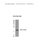 FUSION PEPTIDE COMPRISING dhFas-1 DOMAIN AND MMP SUBSTRATE AND USE THEREOF     FOR PREVENTING AND TREATING RHEUMATOID ARTHRITIS diagram and image