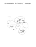 NOVEL VARICELLA-ZOSTER VIRUS STRAINS, AND CHICKEN POX AND HERPES ZOSTER     VIRUS VACCINE USING SAME diagram and image