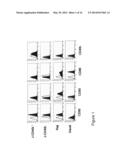 COMPOSITIONS AND METHODS FOR TREATMENT OF HEMATOLOGICAL MALIGNANCIES diagram and image