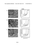 POROUS POLYURETHANE NETWORKS AND METHODS OF PREPARATION diagram and image