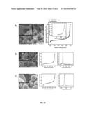 POROUS POLYURETHANE NETWORKS AND METHODS OF PREPARATION diagram and image