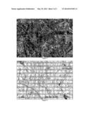 BEARING COMPONENTS AND PROCESSES FOR DEPOSITING ADDITIVES, ESPECIALLY     FLUOROPOLYMERS, ON CELLULOSE diagram and image