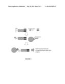 MICROVESICLE-BASED ASSAYS diagram and image