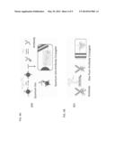 MARKERS TO IDENTIFY PRIMARY CELLS FROM TUMOR BIOPSIES diagram and image