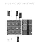 MARKERS TO IDENTIFY PRIMARY CELLS FROM TUMOR BIOPSIES diagram and image