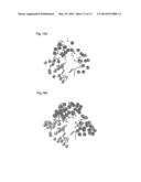 COBALAMIN ASSAY diagram and image