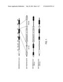 HOMOZYGOUS AND HETEROZYGOUS IDH1 GENE-DEFECTIVE CELL LINES DERIVED FROM     HUMAN COLORECTAL CELLS diagram and image