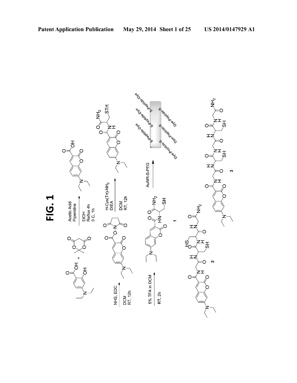 Nanothermometer, Methods and Uses Therefor - diagram, schematic, and image 02