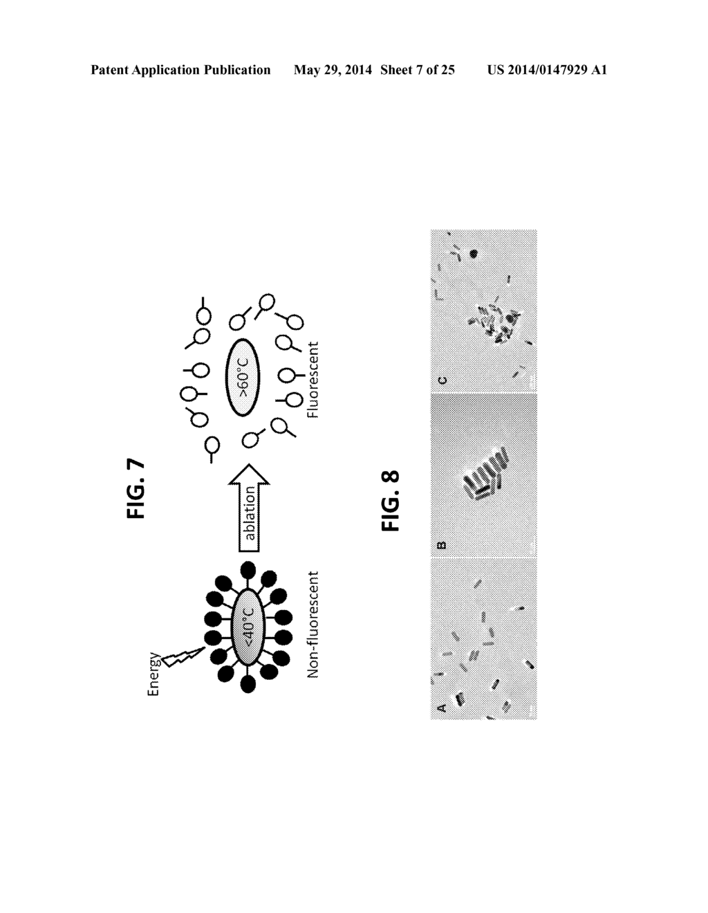 Nanothermometer, Methods and Uses Therefor - diagram, schematic, and image 08