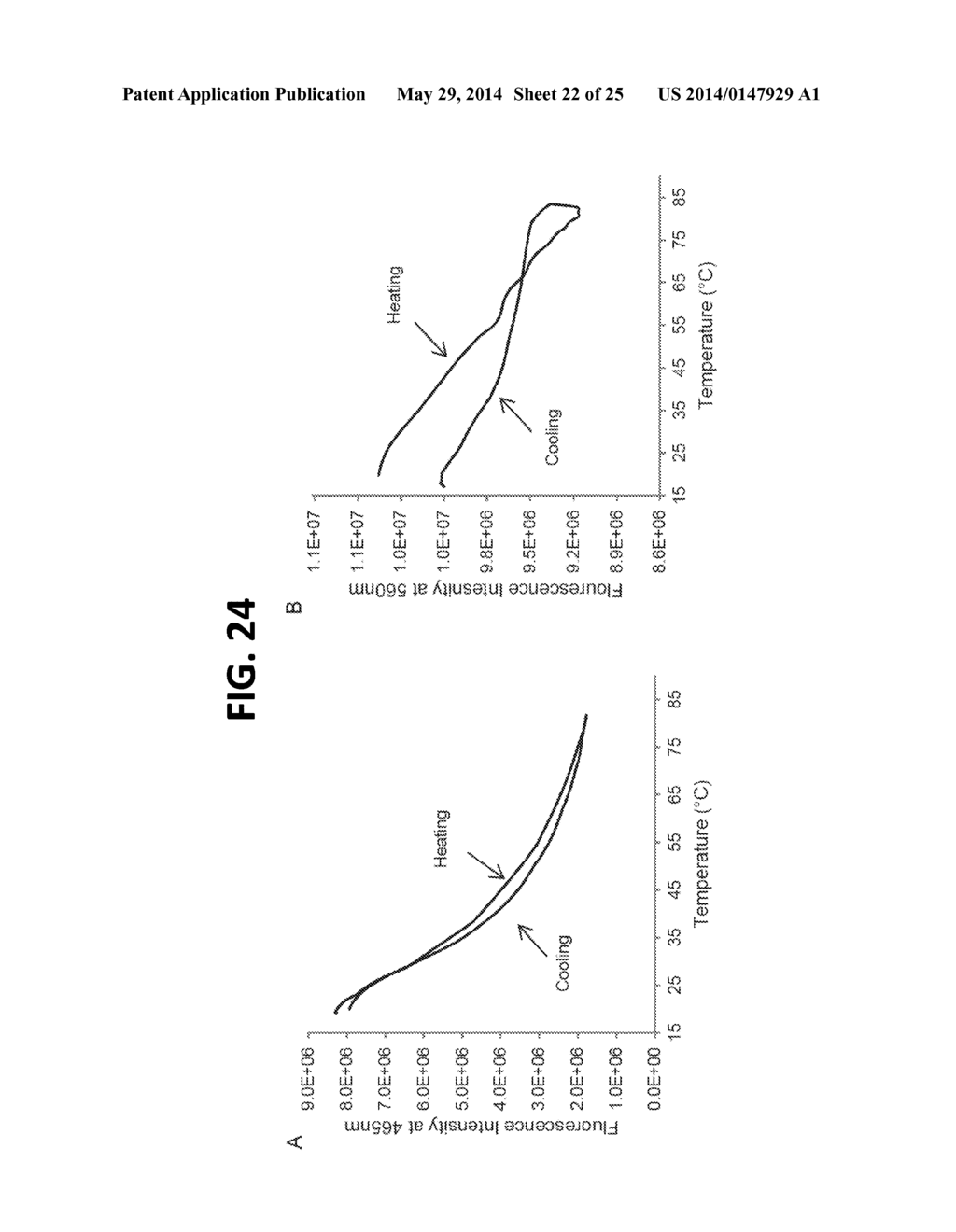 Nanothermometer, Methods and Uses Therefor - diagram, schematic, and image 23