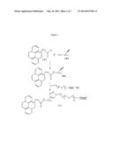 NON COVALENT MOLECULAR STRUCTURE, COMPRISING A PYRENE BASED     GLYCOCONJUGATE, DEVICE COMPRISING THE SAME AND ITS USE FOR DETECTION OF     LECTIN diagram and image