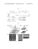 NON COVALENT MOLECULAR STRUCTURE, COMPRISING A PYRENE BASED     GLYCOCONJUGATE, DEVICE COMPRISING THE SAME AND ITS USE FOR DETECTION OF     LECTIN diagram and image