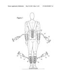 MUSCLE DEVELOPMENT SYSTEM diagram and image