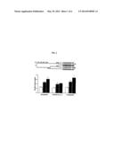 METHODS AND COMPOSITIONS FOR PREDICTING DRUG RESPONSES diagram and image