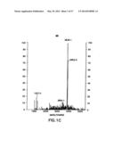 NUCLEIC ACIDS ENCODING BIOLOGICALLY ACTIVE POLYPEPTIDES DERIVED FROM A     NOVEL EARLY STAGE PREGNANCY FACTOR DESIGNATED MATERNIN (MA) diagram and image