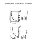 NUCLEIC ACIDS ENCODING BIOLOGICALLY ACTIVE POLYPEPTIDES DERIVED FROM A     NOVEL EARLY STAGE PREGNANCY FACTOR DESIGNATED MATERNIN (MA) diagram and image