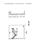 NUCLEIC ACIDS ENCODING BIOLOGICALLY ACTIVE POLYPEPTIDES DERIVED FROM A     NOVEL EARLY STAGE PREGNANCY FACTOR DESIGNATED MATERNIN (MA) diagram and image