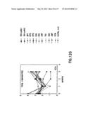 NUCLEIC ACIDS ENCODING BIOLOGICALLY ACTIVE POLYPEPTIDES DERIVED FROM A     NOVEL EARLY STAGE PREGNANCY FACTOR DESIGNATED MATERNIN (MA) diagram and image