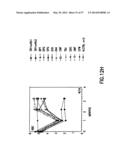 NUCLEIC ACIDS ENCODING BIOLOGICALLY ACTIVE POLYPEPTIDES DERIVED FROM A     NOVEL EARLY STAGE PREGNANCY FACTOR DESIGNATED MATERNIN (MA) diagram and image