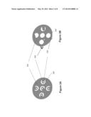 NERVE STUMP INTERFACE AND AXONAL REGENERATION SYSTEM FOR GENERATING AN     ELECTRIC FIELD FOR PROMOTING AND GUIDING AXONAL REGENERATION diagram and image