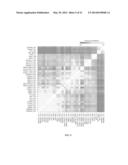 FINGERPRINT FOR CELL IDENTITY AND PLURIPOTENCY diagram and image