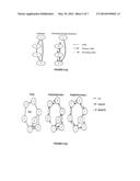 PROTECTION METHOD AND SYSTEM FOR PREPLANNING DUALITY OF PATHS FOR A     UNICAST AND/OR A MULTICAST TRAFFIC diagram and image