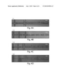 SURFACES, INCLUDING MICROFLUIDIC CHANNELS, WITH CONTROLLED WETTING     PROPERTIES diagram and image