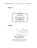 PEELING APPARATUS, PEELING SYSTEM AND PEELING METHOD diagram and image