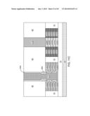 NANOMESH COMPLEMENTARY METAL-OXIDE-SEMICONDUCTOR FIELD EFFECT TRANSISTORS diagram and image