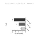 ERYTHROPOIETIN AND FIBRONECTIN COMPOSITIONS FOR THERAPEUTIC AND COSMETIC     APPLICATIONS diagram and image